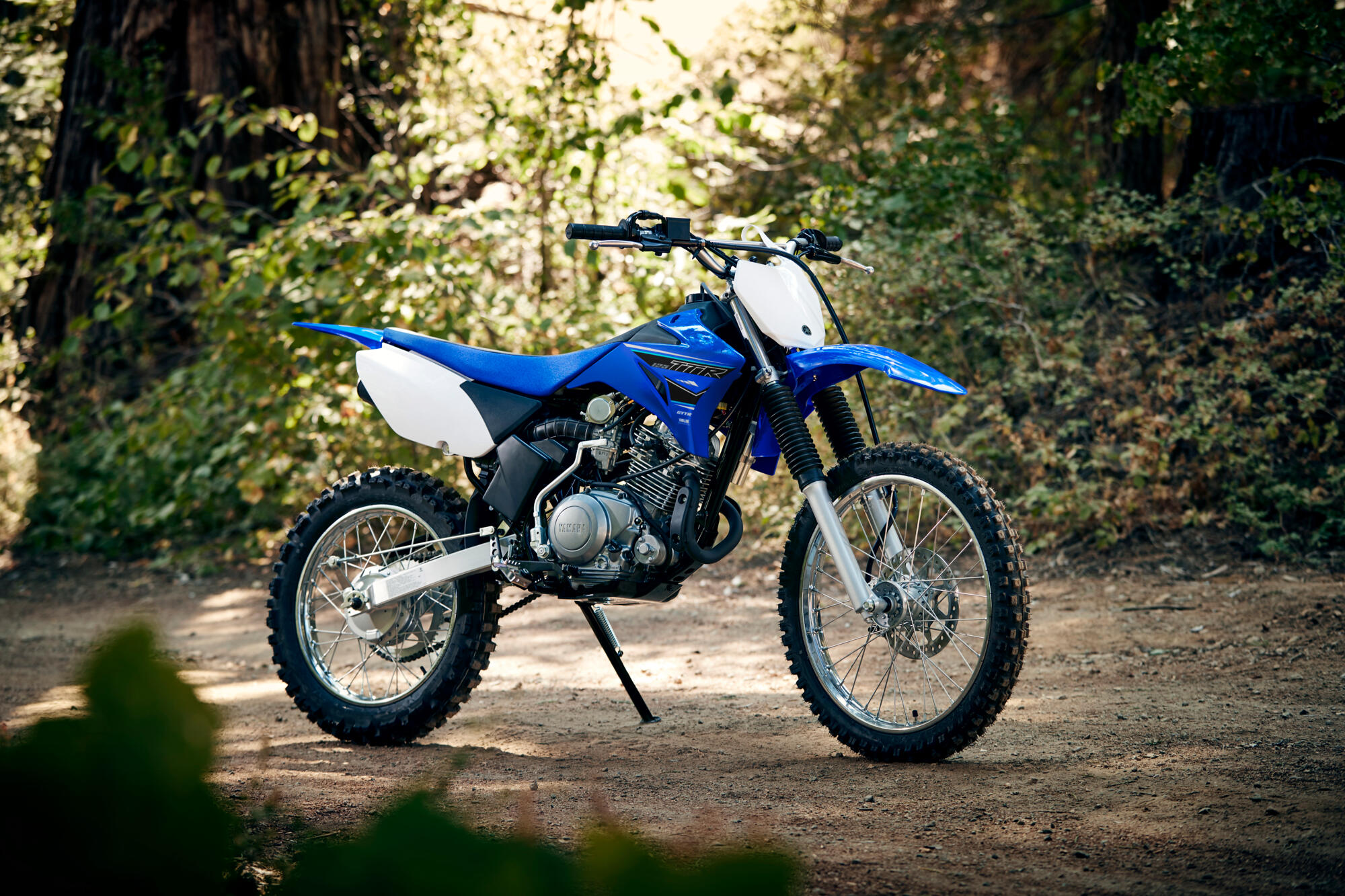 2021-Yamaha-TTR125LWE-EU-Icon_Blue-Static-003-03